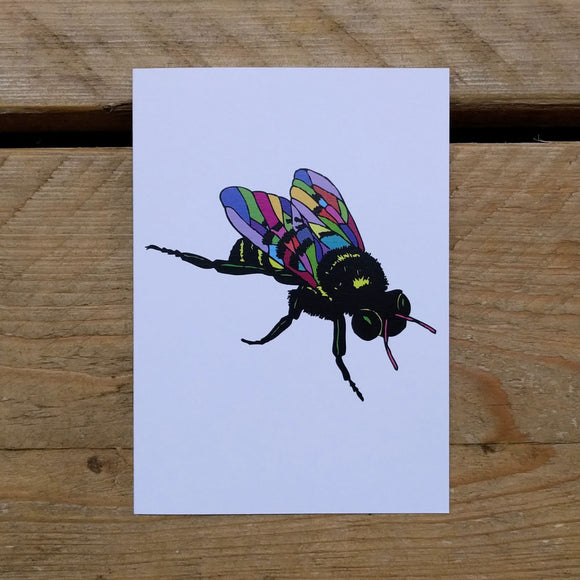 Super-fly folded note card