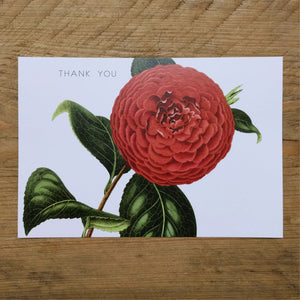 Flat Chrysanth thank you card
