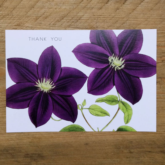 Flat Purple Clematis thank you card