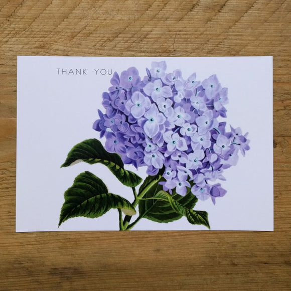 Flat Hydrangea thank you card