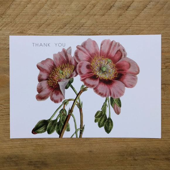 Flat Mullein thank you card