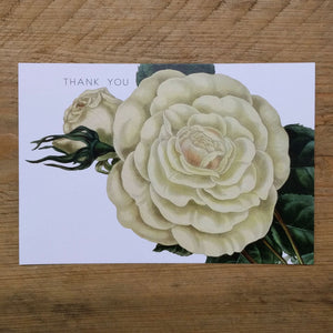 Flat White Rose thank you card