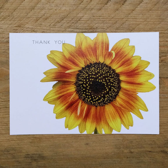 Flat Sunflower thank you card
