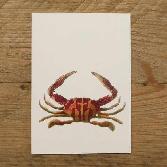 Paddle Crab folded note card