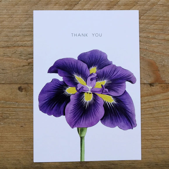 Purple Lily folded thank you